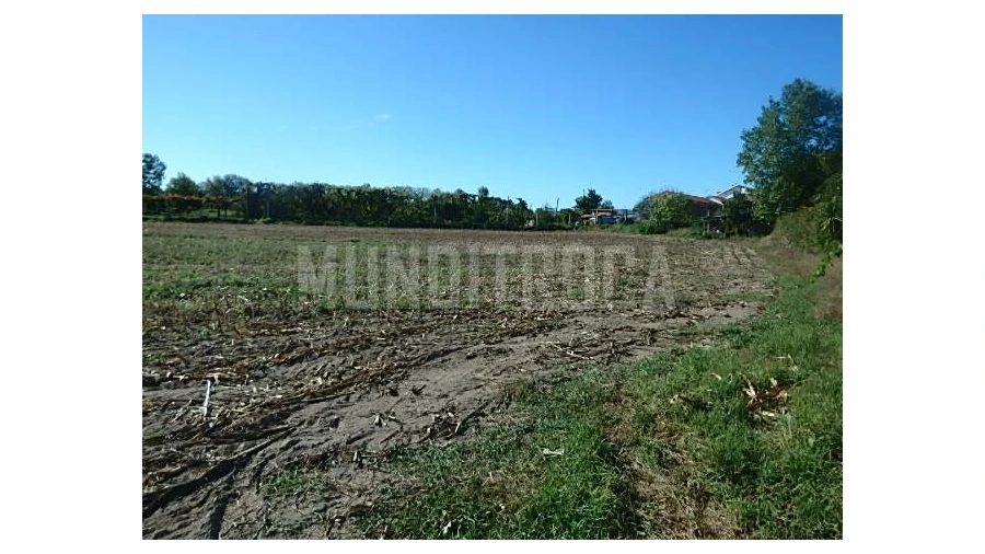 Quinta para Venda em Merelim (São Pedro) e Frossos Foto 9