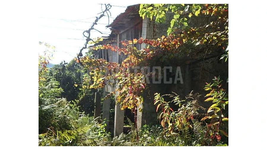 Quinta para Venda em Merelim (São Pedro) e Frossos Foto 11