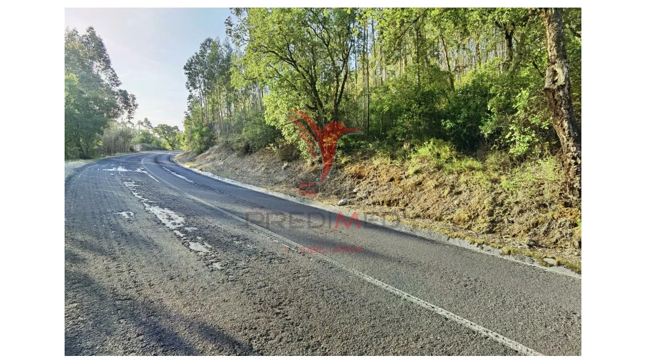 Terreno para Venda em Amiais de Baixo Foto 10