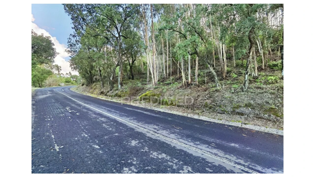 Terreno para Venda em Amiais de Baixo Foto 1