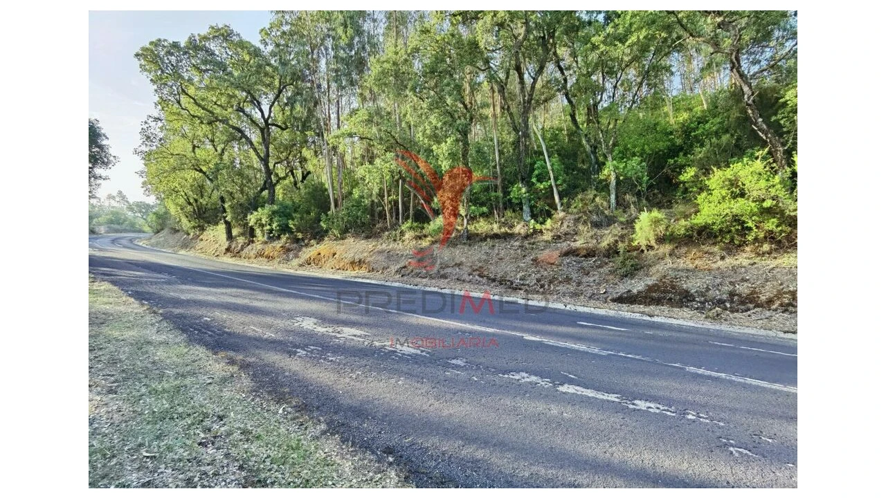Terreno para Venda em Amiais de Baixo Foto 9