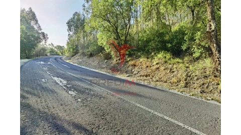 Terreno para Venda em Amiais de Baixo