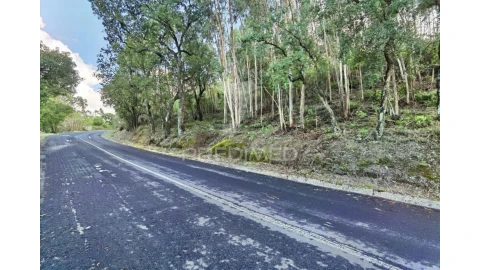 Terreno para Venda em Amiais de Baixo