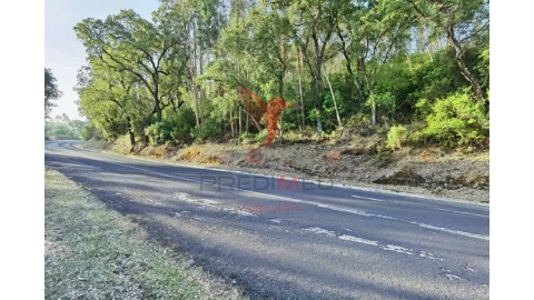 Terreno para Venda em Amiais de Baixo