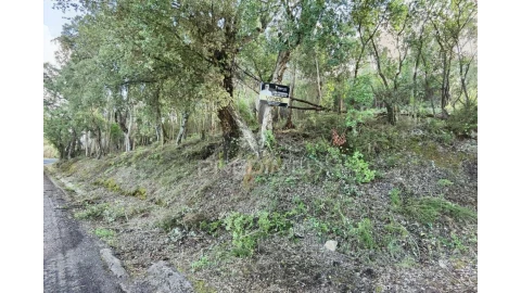 Terreno para Venda em Amiais de Baixo