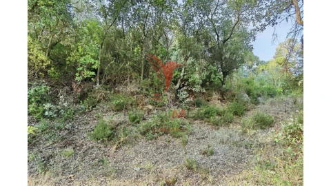 Terreno para Venda em Amiais de Baixo