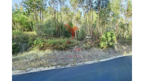 Terreno para Venda em Amiais de Baixo