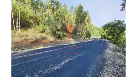 Terreno para Venda em Amiais de Baixo