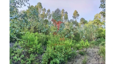 Terreno para Venda em Amiais de Baixo