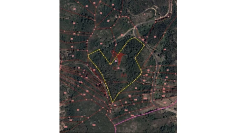 Terreno para Venda em Amiais de Baixo