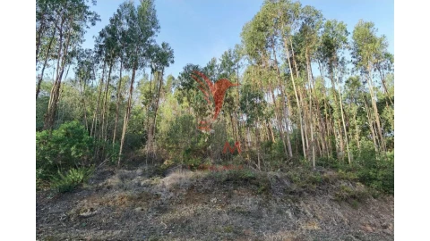 Terreno para Venda em Amiais de Baixo