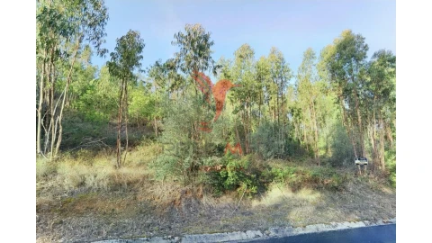 Terreno para Venda em Amiais de Baixo