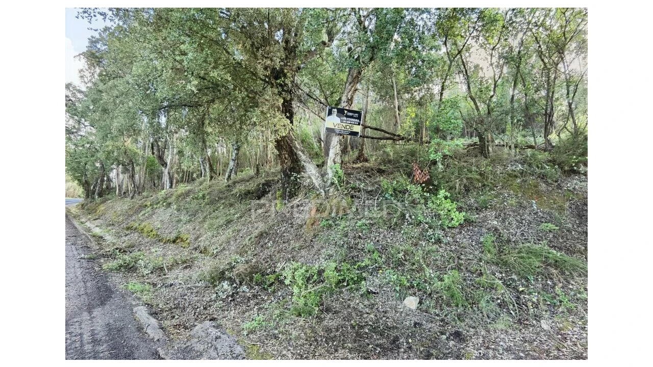 Terreno para Venda em Amiais de Baixo Foto 4
