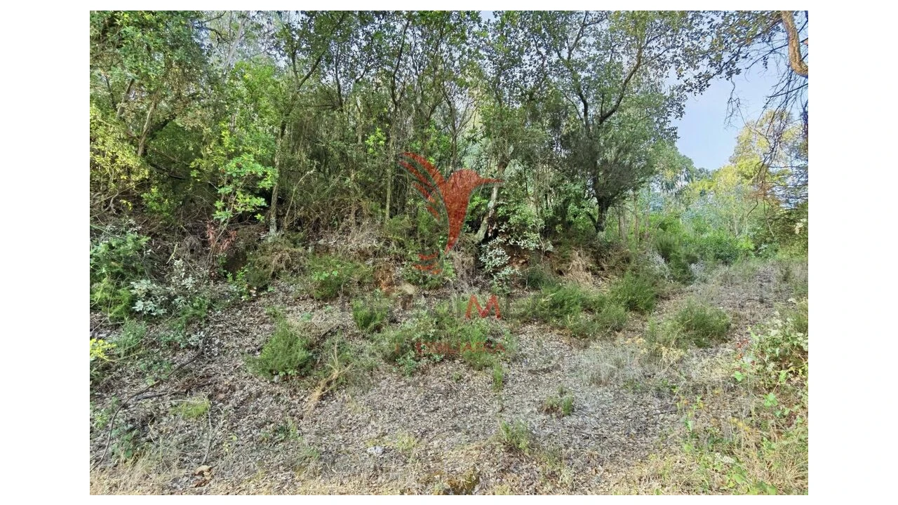 Terreno para Venda em Amiais de Baixo Foto 18