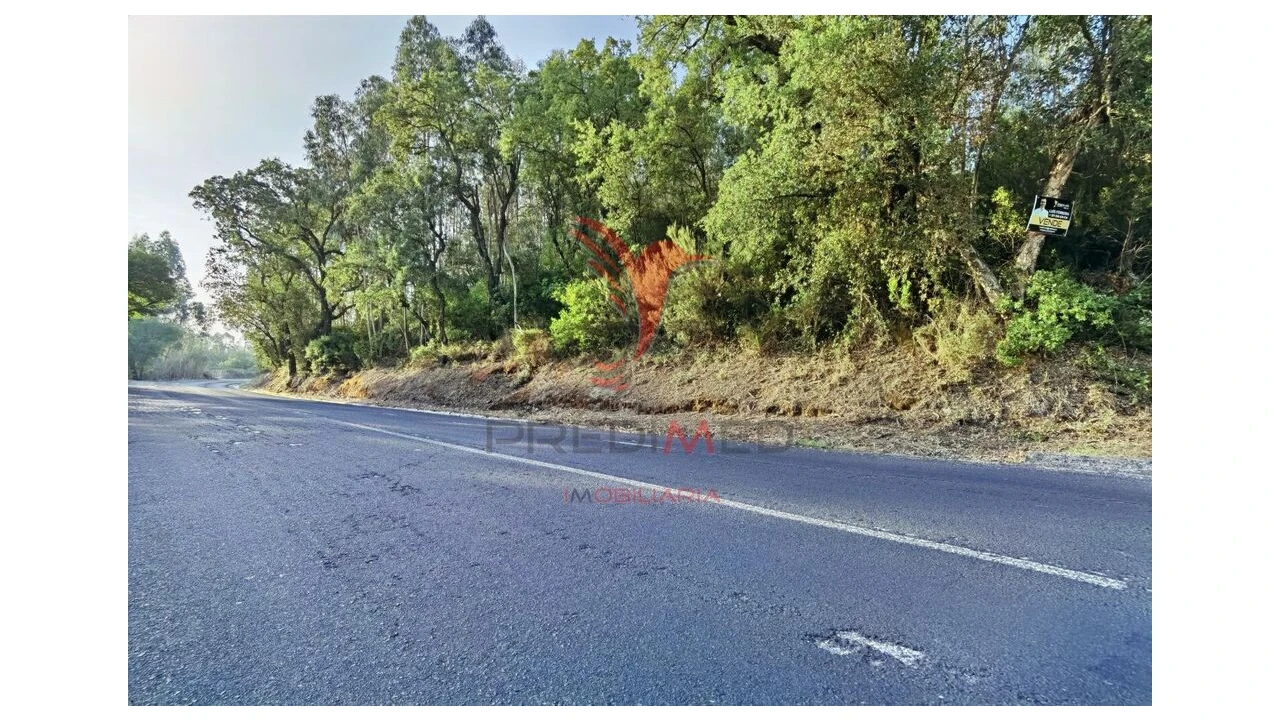 Terreno para Venda em Amiais de Baixo Foto 17