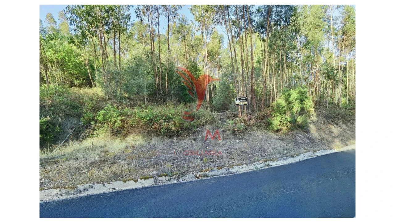 Terreno para Venda em Amiais de Baixo Foto 11