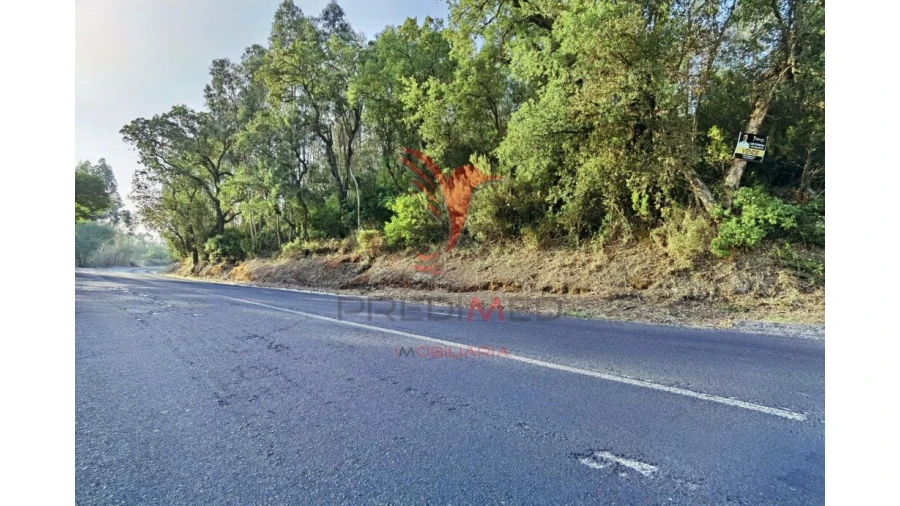 Terreno para Venda em Amiais de Baixo Foto 17
