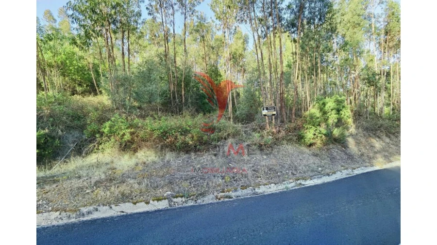 Terreno para Venda em Amiais de Baixo Foto 11