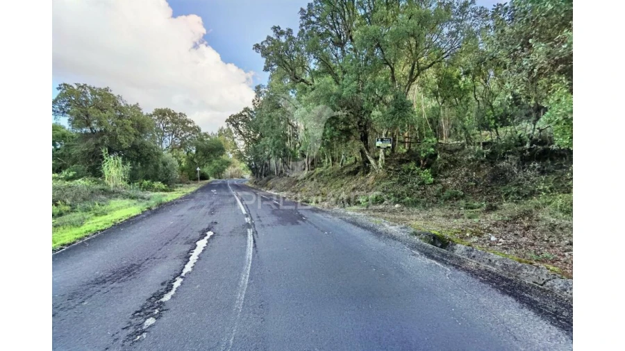 Terreno para Venda em Amiais de Baixo Foto 2