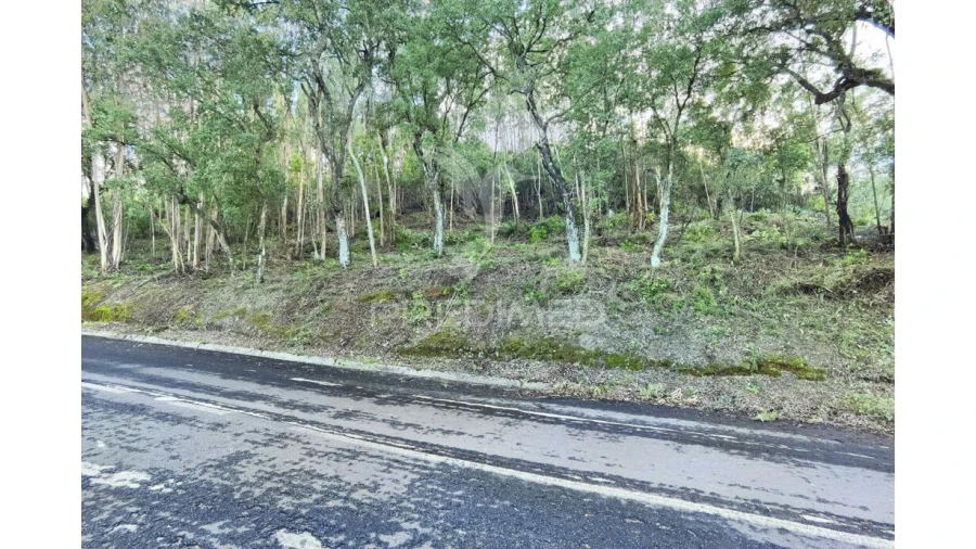 Terreno para Venda em Amiais de Baixo Foto 3