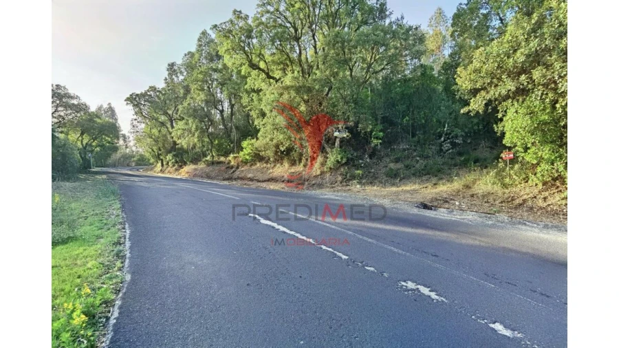 Terreno para Venda em Amiais de Baixo Foto 6