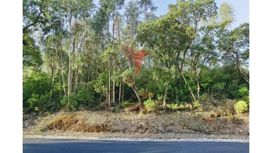 Terreno para Venda em Amiais de Baixo Foto 16