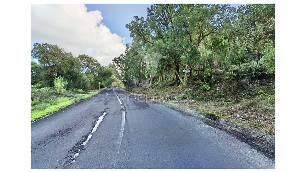 Terreno para Venda em Amiais de Baixo Foto 2