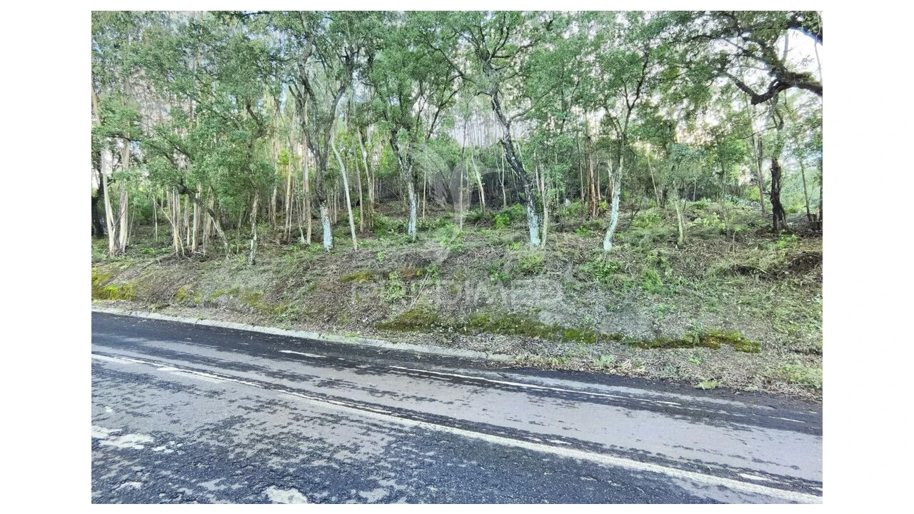 Terreno para Venda em Amiais de Baixo Foto 3