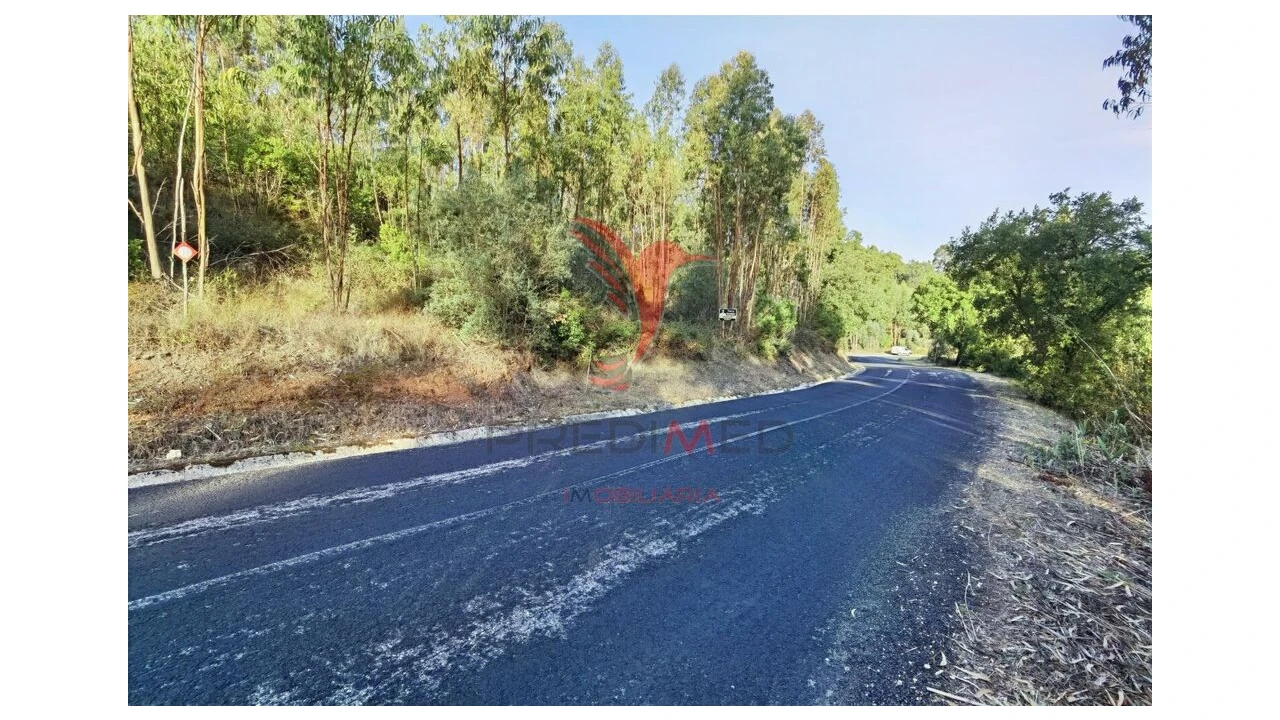 Terreno para Venda em Amiais de Baixo Foto 14