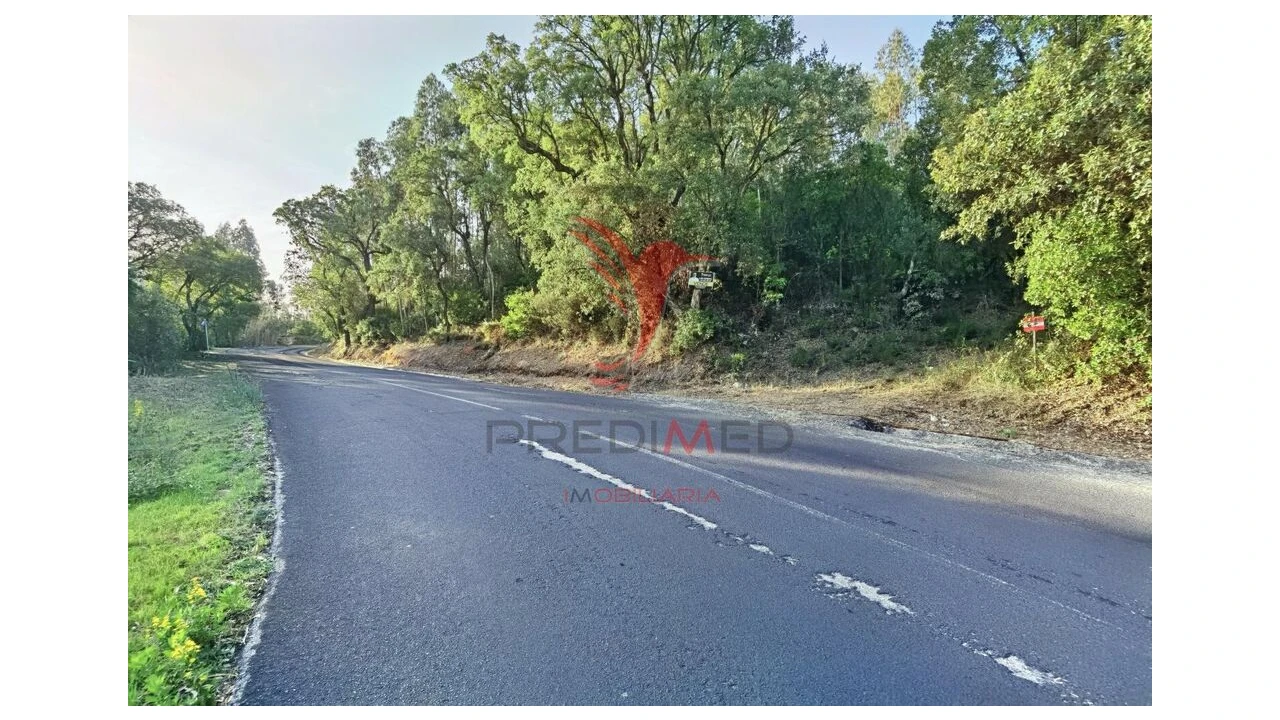 Terreno para Venda em Amiais de Baixo Foto 6