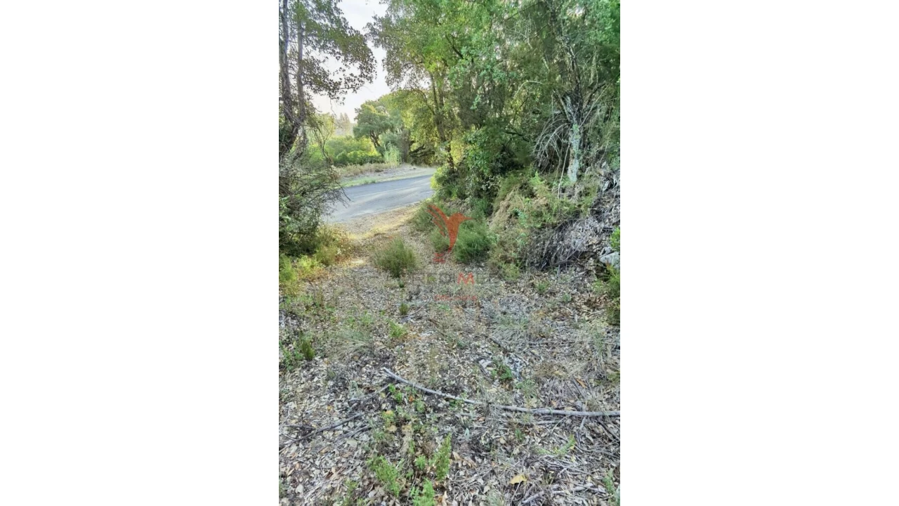 Terreno para Venda em Amiais de Baixo Foto 8