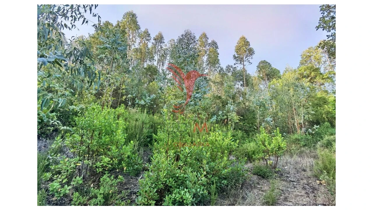 Terreno para Venda em Amiais de Baixo Foto 7