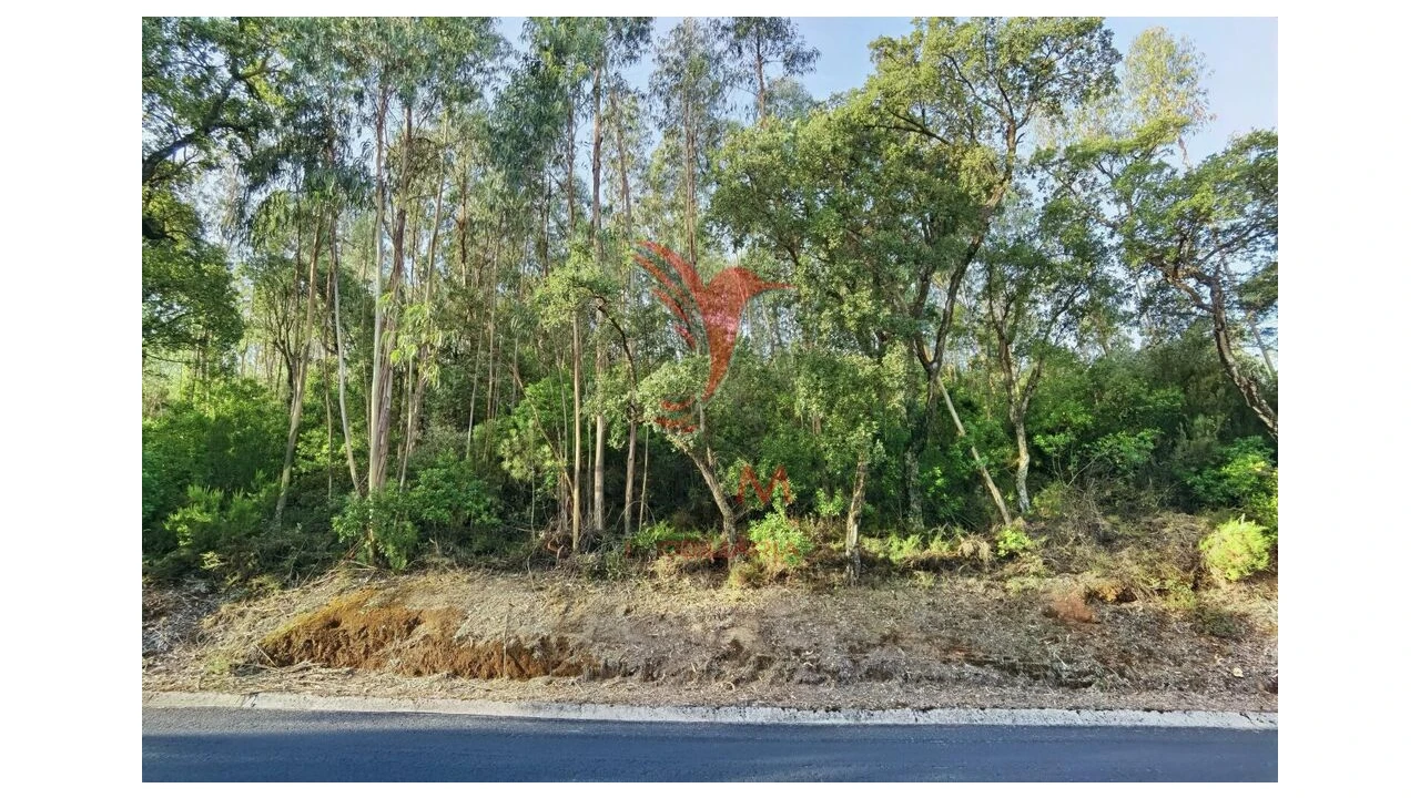 Terreno para Venda em Amiais de Baixo Foto 16