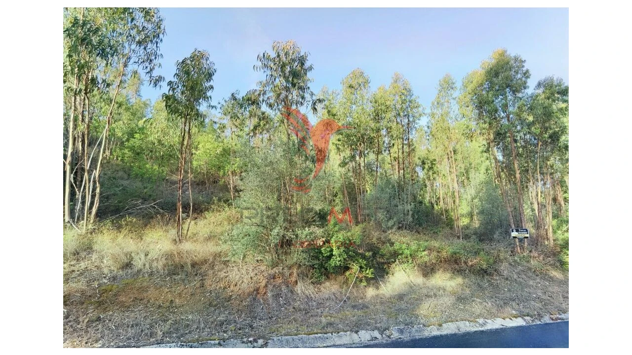 Terreno para Venda em Amiais de Baixo Foto 12