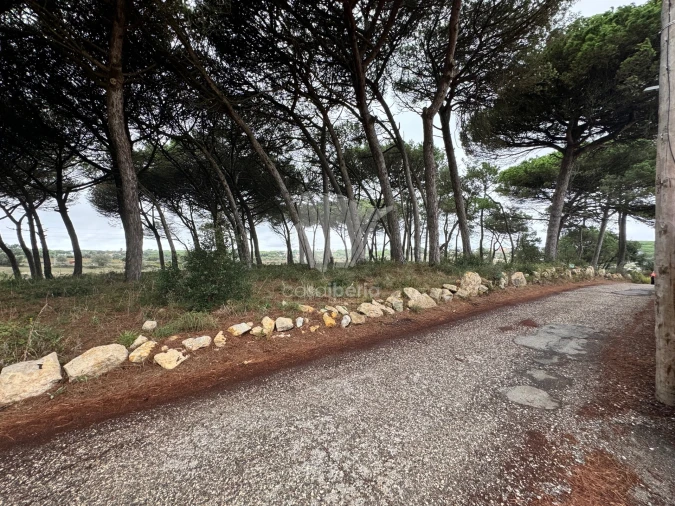 Moradia T3 para Venda em São João das Lampas e Terrugem Foto 37