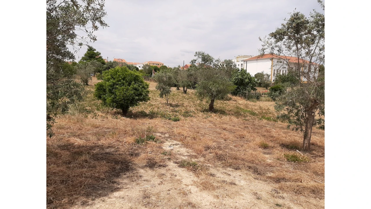 Terreno para Venda em Ferreira do Zezere Foto 17