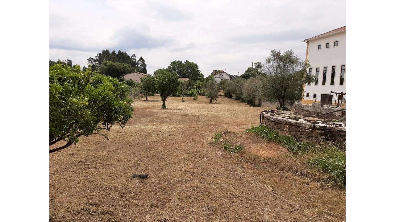 Terreno para Venda em Ferreira do Zezere Foto 22