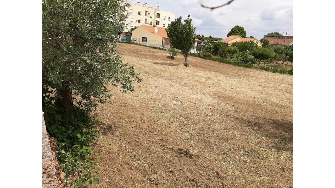 Terreno para Venda em Ferreira do Zezere Foto 13