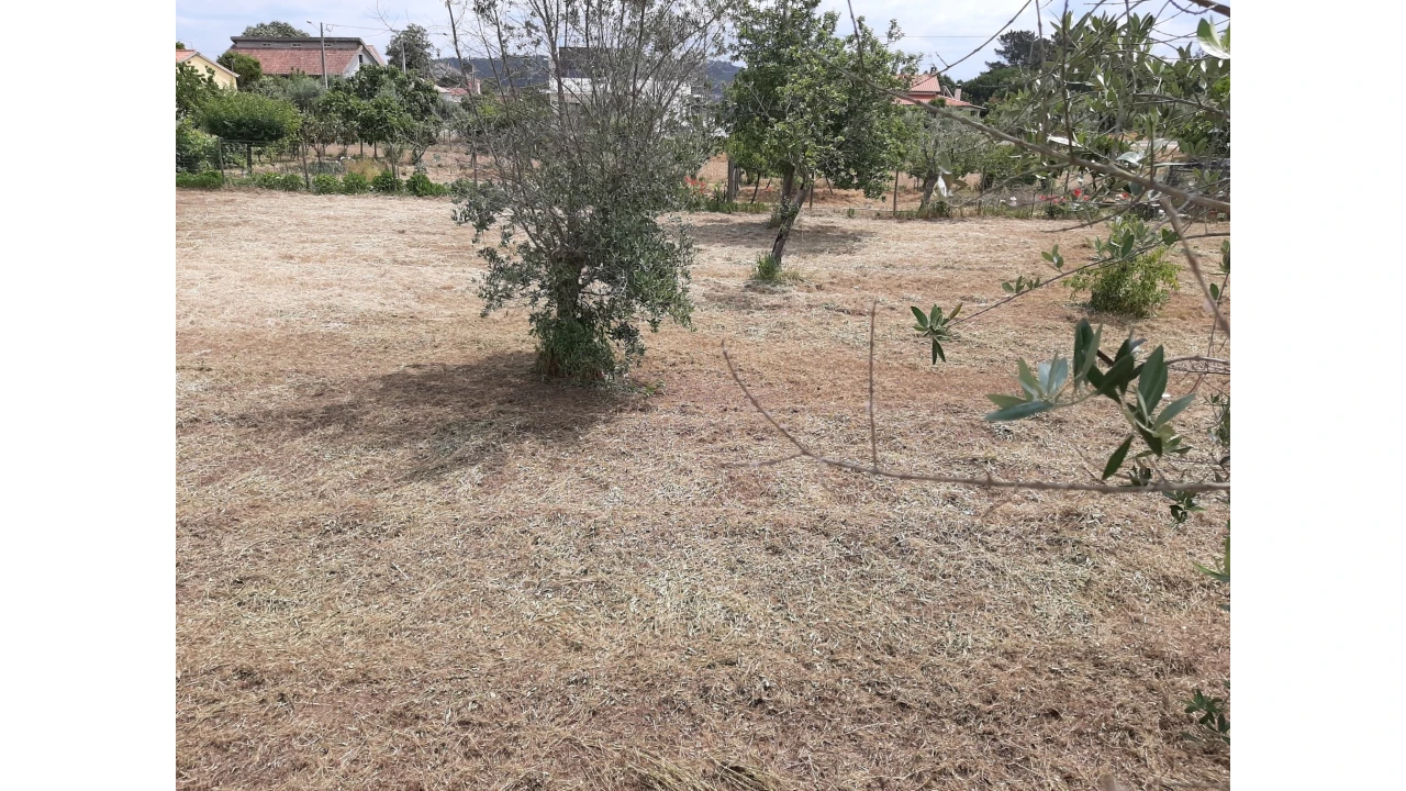 Terreno para Venda em Ferreira do Zezere Foto 14