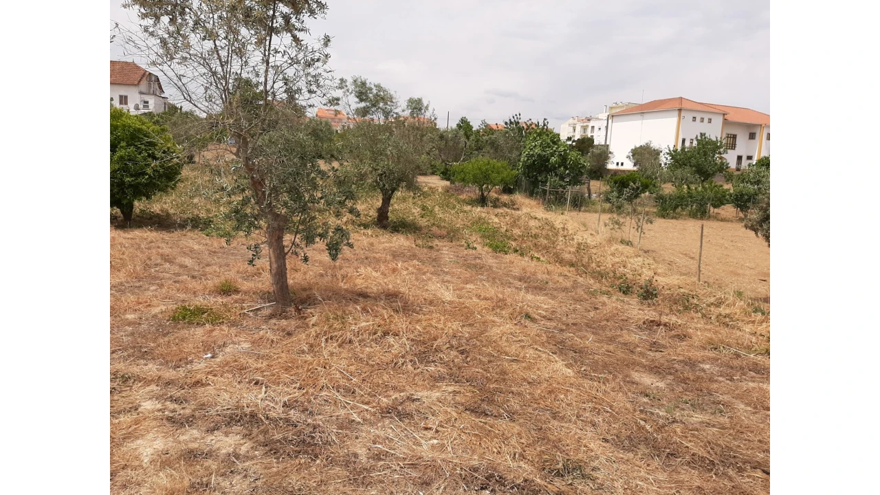 Terreno para Venda em Ferreira do Zezere Foto 20