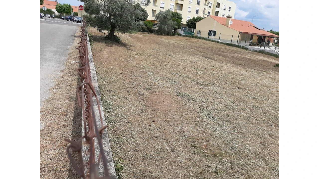 Terreno para Venda em Ferreira do Zezere Foto 10