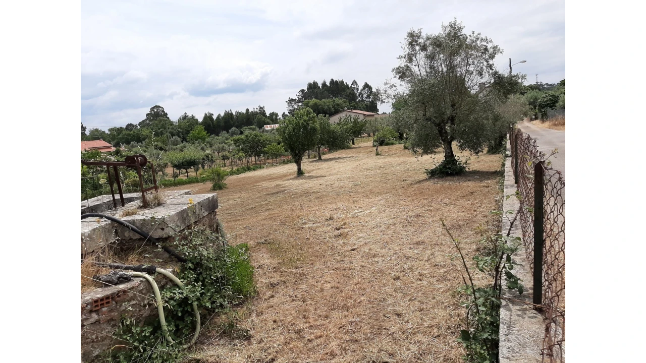 Terreno para Venda em Ferreira do Zezere Foto 2