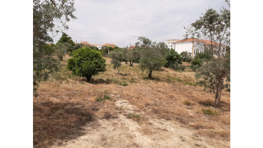 Terreno para Venda em Ferreira do Zezere Foto 17