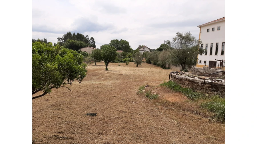 Terreno para Venda em Ferreira do Zezere Foto 22