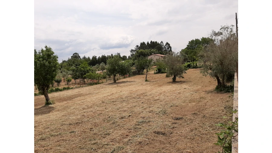 Terreno para Venda em Ferreira do Zezere Foto 7