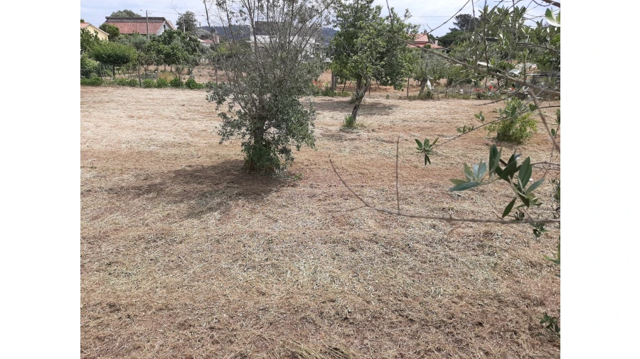 Terreno para Venda em Ferreira do Zezere Foto 14