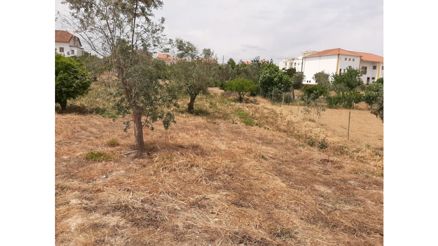 Terreno para Venda em Ferreira do Zezere Foto 20