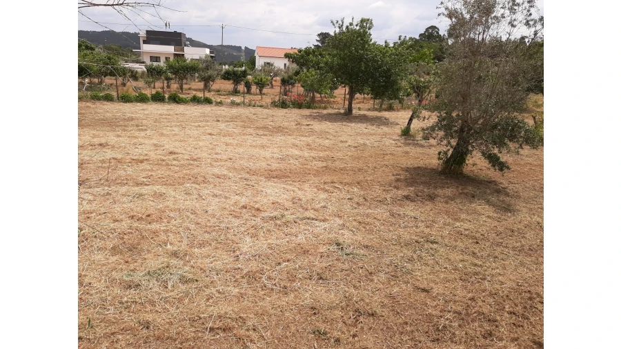 Terreno para Venda em Ferreira do Zezere Foto 11