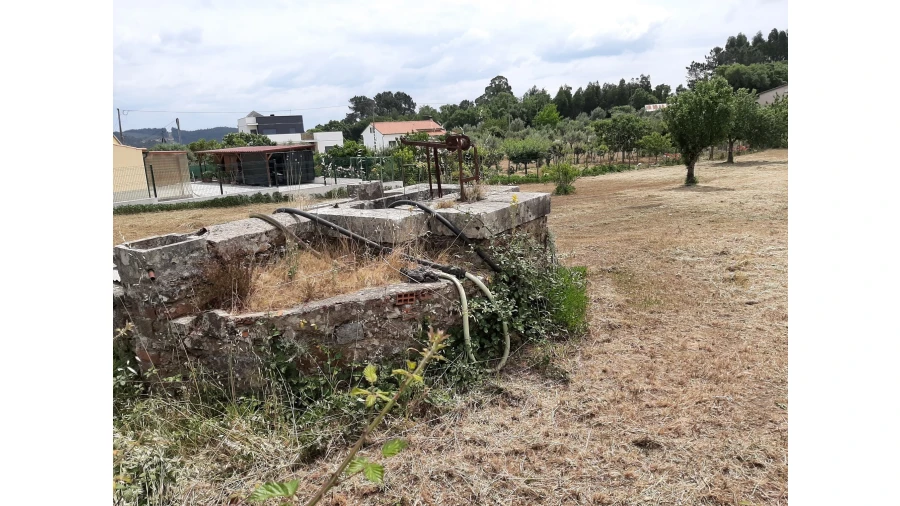 Terreno para Venda em Ferreira do Zezere Foto 1