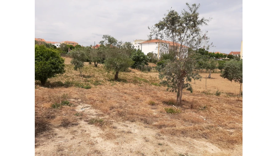 Terreno para Venda em Ferreira do Zezere Foto 18